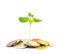 Jewish charity concept. Tzedakah, translated like charity. A photo of money, heap of euro coins and a small green sprout growing
