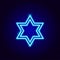 Jewish David Star Neon Sign