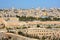 Jewish hasidic play violin near the Tower of David