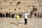 Jewish hasidic pray a the Western Wall