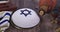 Jewish holiday Purim with hamantaschen cookies hamans ears, carnival mask and parchment