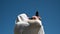 Jewish man blowing Shofar on Rosh Hashana Jewsih Holiday