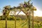 Jewish traditions wedding ceremony. Wedding canopy chuppah or huppah with golden light