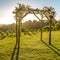 Jewish Wedding with Chuppah and scenic view