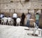 Jews at the wailing western wall