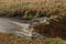 Jezerni creek in autumn color morning with wild waterfall after rainfall