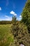 Jezerni slat. Jezerni moor in summer, Sumava, National Park, Czech Republic. Travel destination. South Bohemia landscape.