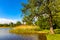 Jezioro Selmet Wielki lake landscape with reeds and wooded shoreline in Sedki village in Masuria region of Poland