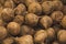 Jicamas stacked on a market stall, ready to be sold, still retain the land for what is known to be fresh