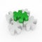 Jigsaw Puzzle, Green One