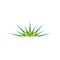 jimson weed datura logo vector icon