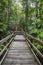 Jindalba Boardwalk, Daintree National Park