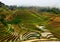 Jinkeng terraced rice fields in Longshan,Guilin