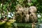 Jizo chibi, the guardian of children of Hase-dera Temple. Kamakura, Japan - Sep, 2018