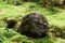 A Jizo statue inspired by the image of children.