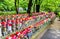 Jizo statues at the cemetery, Zojo-ji temple, Tokyo