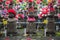 Jizo statues at Shiba park in Tokyo