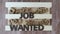 Job wanted wooden word.