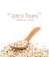 Jobs tears grain seed with wooden spoon on white background