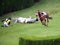 A jockey falling from a horse at the race while others running further