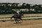 Jockey galloping race horse down the track. Equestrian sports are popular in Europe. The rider is running fast on a