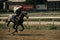 Jockey galloping race horse down the track. Equestrian sports are popular in Europe. The rider is running fast on a