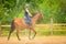 Jockey girl doing horse riding on countryside meadow