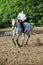 Jockey in glasses riding white horse