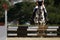 Jockey on her horse leaping over a hurdle