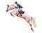 Jockey on horse. White Horse. Champion. Horse riding. Equestrian sport. Jockey riding jumping horse. Poster. Sport
