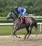 Jockey John Velazquez and Paraiba