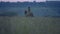 Jockey lady is riding a brown horse during twilight