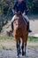 Jockey riding horse on track