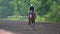 A jockey training his racing horse on the track