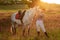 Jockey young girl petting and hugging white horse in evening sunset. Sun flare