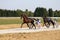 Jockeys and horses harness racing
