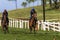 Jockeys Horses Sprint Training