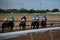 Jockeys racing horses at racetrack for betting.