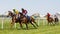 Jockeys riding arabian race horses side by side on the race track