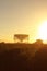 Jodrell Bank Observatory. The Lovell Radio Telescope at sunrise