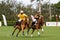 Joe Barry Cup Final at International Polo Club. Polo jockeys on horseback playing on the 300 yards long field.