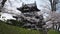 Joetsu Castle view during cherry blossom