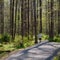 Jogger on Huntley Meadows Hiking Trail