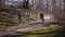 Jogger meets Cyclist on a path in woodland area.