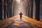 Jogger perseveres through misty autumn park on a tranquil morning