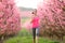 Jogger running in a pink flowers field