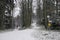 Jogger in wintry forest