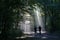 Jogging couple silhouetted against sunbeam in dark forest