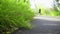 Jogging path in a garden