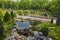 Jogging track in garden of public park among greenery trees, flower shrub and bush, black asfalt concrete walkway beside green